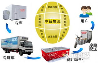 国内外联动打造北方食品冷链物流集散中心，优化供应链管理服务